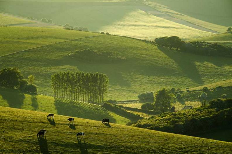 Прекрасные произведения фотоконкурса от «Landscape Photographer of the Year Awards»