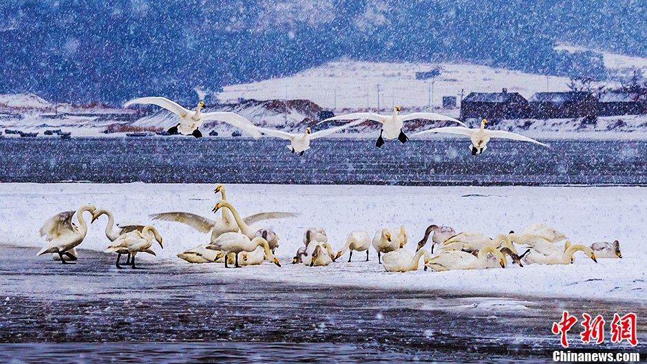 Лучшие работы с фотоконкурса «Красивейшие места Китая»