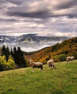 [Путешествие по миру]Прекрасные пейзажи Словении