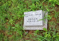 Посещение единственного в Южной Корее кладбища павших китайских народных добровольцев