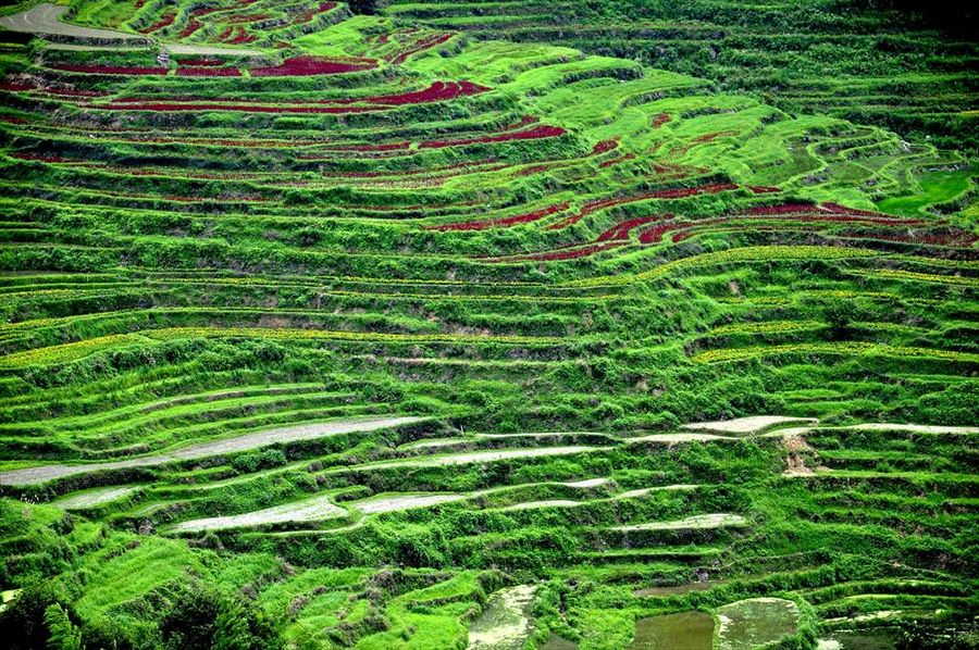 Привлекательные террасовые поля в уезде Уюань провинции Цзянси