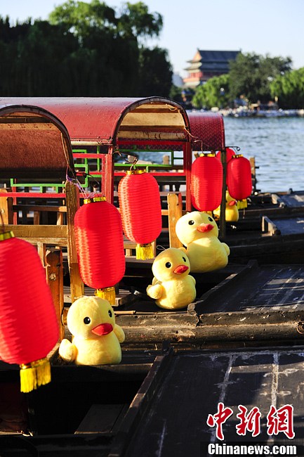 «Маленькие резиновые утята» были подняты на лодки в пекинском районе Шичахай для встречи «Большого резинового утенка»