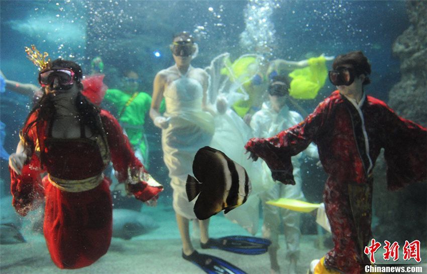 «Подводный показ мод» с участием русских девушек