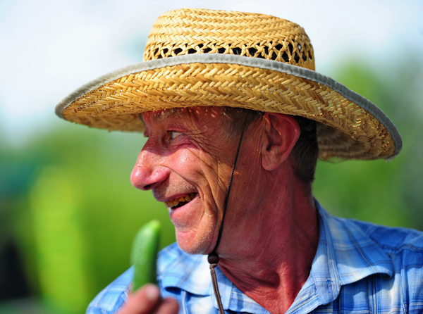 Традиционный 'Праздник огурца' прошел в Суздале Традиционный 'Праздник огурца' прошел в Суздале