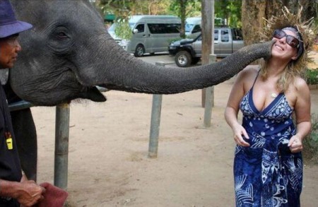 Самые смешные картинки