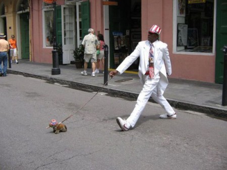 Самые смешные картинки