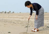 Фото: Президент Южной Кореи Пак Кын Хе на отдыхе 