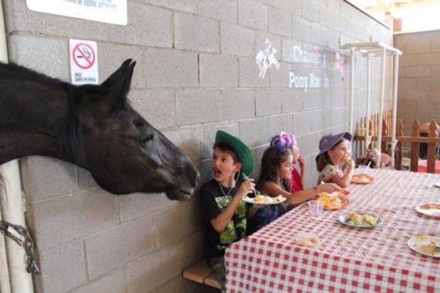 Фото: Смешные мгновения