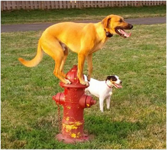 Фото: Смешные мгновения