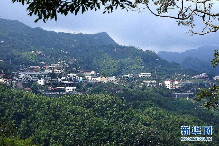Одна из лучших достопримечательностей гор Алишань на Тайване - Сидин