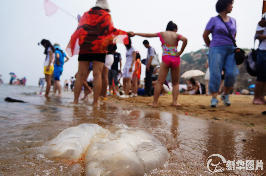 Бэйдайхэ: опасающиеся укуса медузы туристы не осмеливаются плавать в море