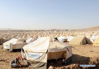 ООН призвала соседние с Сирией государства принять у себя сирийских беженцев