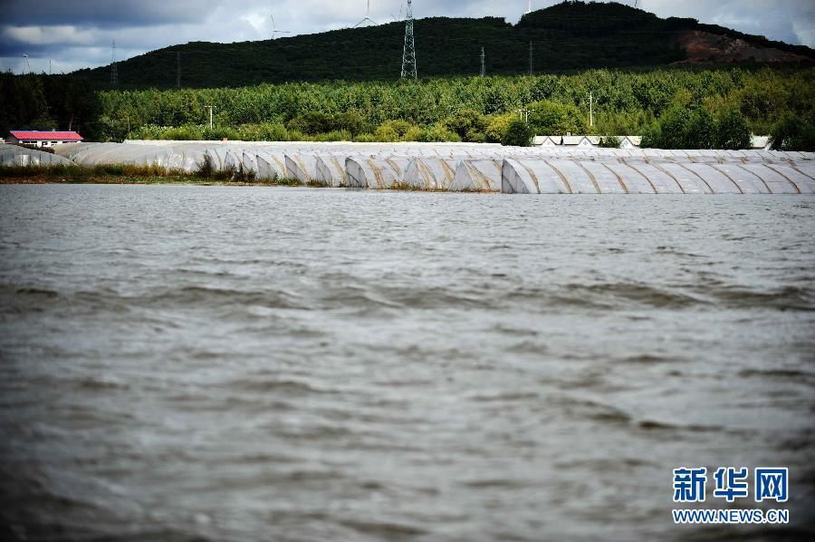 Уровень воды на участке Фуюань реки Хэйлунцзян достиг рекордно высокой отметки