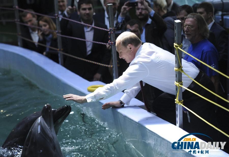 Путин покормил дельфинов и пожал ласты моржу в океанариуме Владивостока