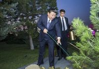 Си Цзиньпин в Ашхабаде посадил дерево дружбы 