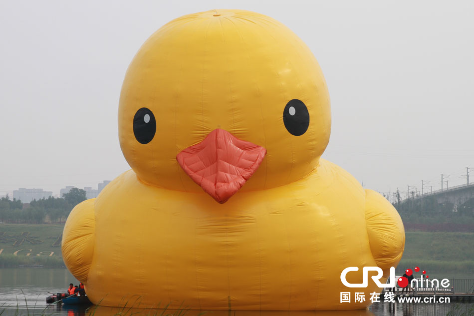 «Гигантская желтая утка» представлена на Пекинской выставке садово-паркового искусства