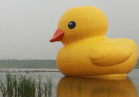 «Гигантская желтая утка» представлена на Пекинской выставке садово-паркового искусства