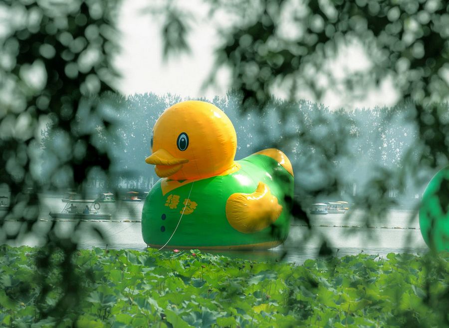 Парк Юйюаньтань в Пекине: гигантская желтая утка в зеленом жилете