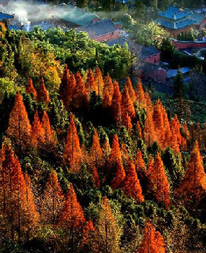 Красивые осенние пейзажи гор Уданшань