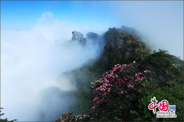 Четыре сезона гор Гуанъушань в провинции Сычуань