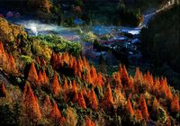 Красивый осенний пейзаж на горе Уданшань