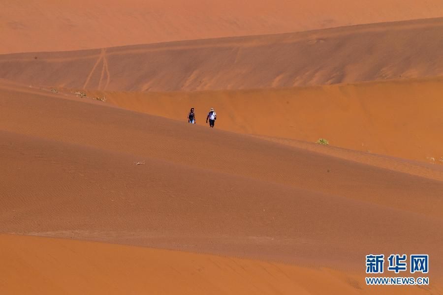Намиб - самая древняя пустыня в мире