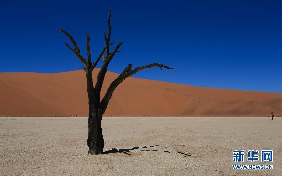 Намиб - самая древняя пустыня в мире