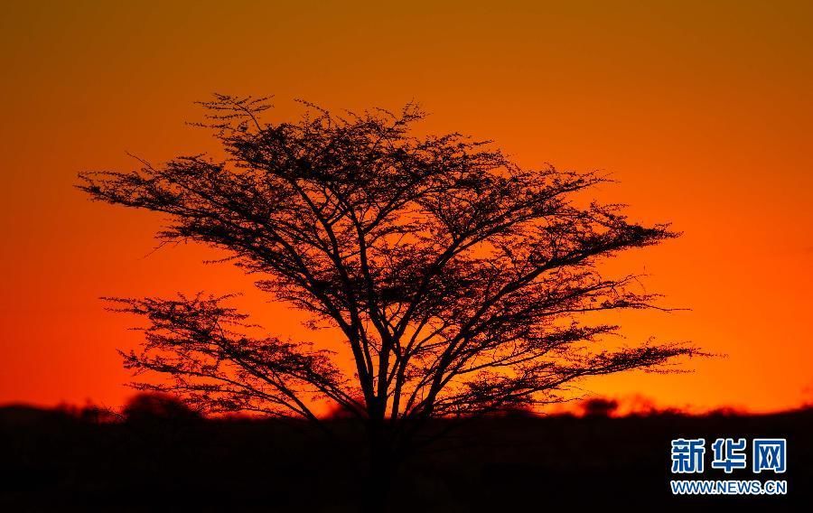 Намиб - самая древняя пустыня в мире