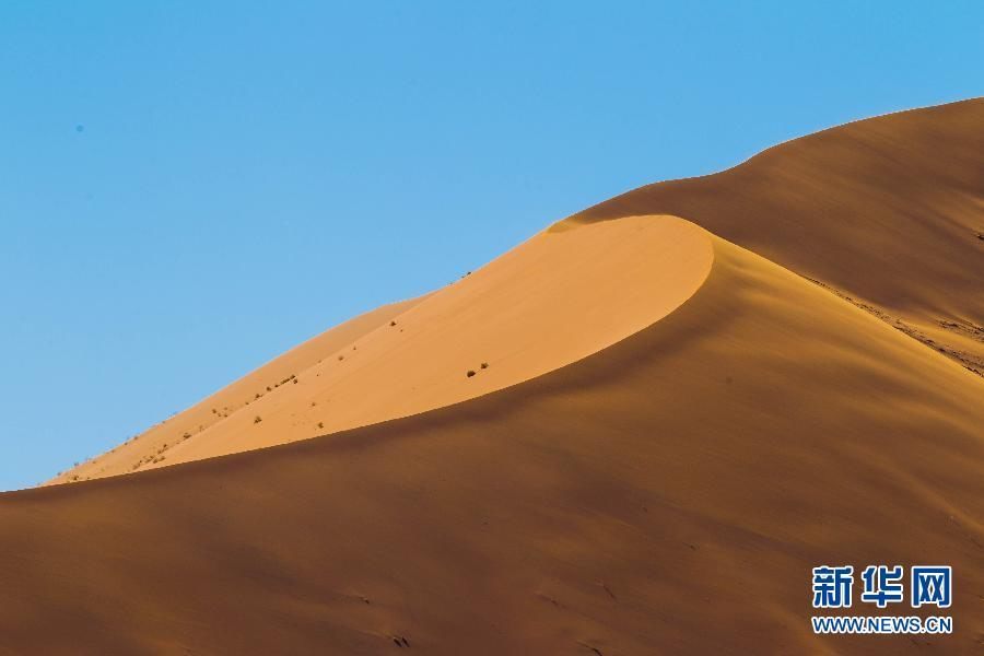 Намиб - самая древняя пустыня в мире