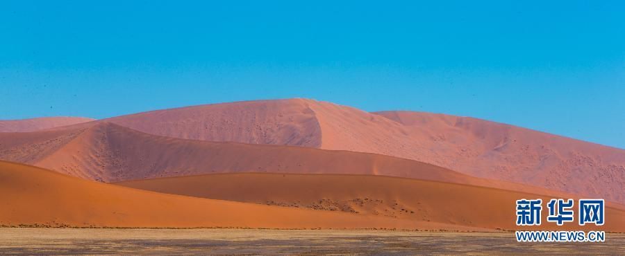 Намиб - самая древняя пустыня в мире