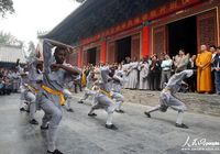 20 африканских 'учеников' приехали в китайский монастырь 'Шаолинь' на тренировки