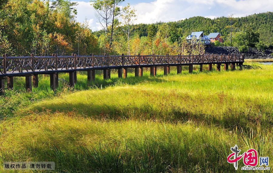 Многоцветный осенний Большой Хинган
