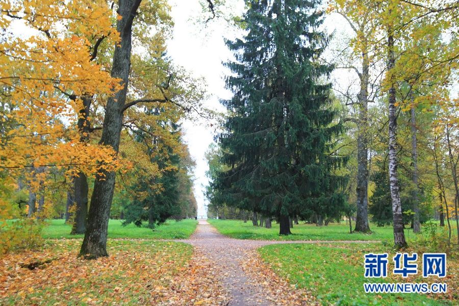 Очаровательные осенние пейзажи Санкт-Петербурга