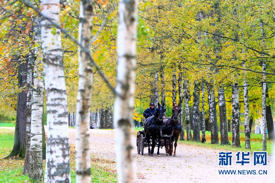Очаровательные осенние пейзажи Санкт-Петербурга