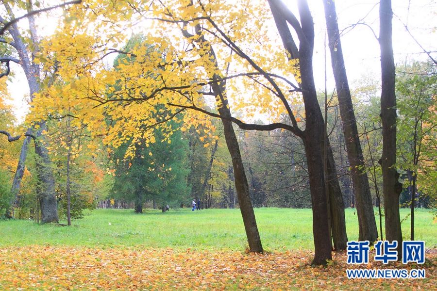 Очаровательные осенние пейзажи Санкт-Петербурга