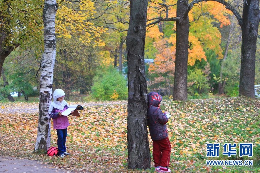 Очаровательные осенние пейзажи Санкт-Петербурга
