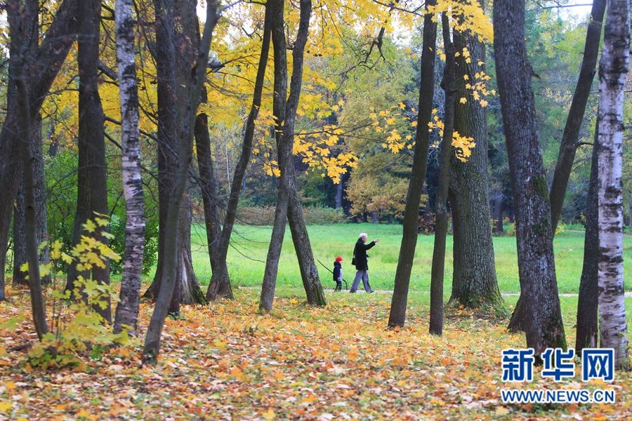 Очаровательные осенние пейзажи Санкт-Петербурга