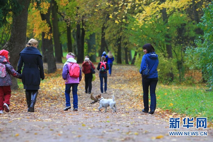 Очаровательные осенние пейзажи Санкт-Петербурга