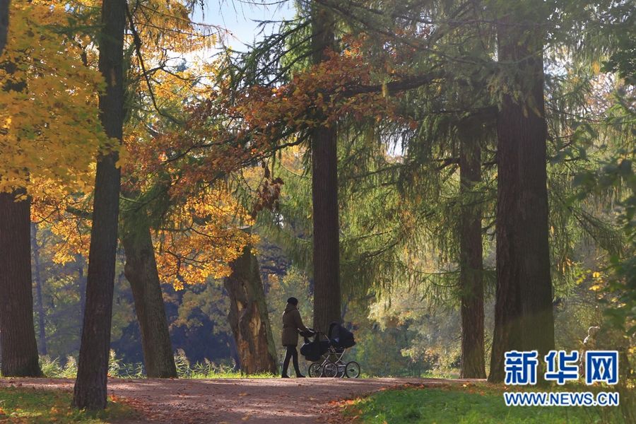 Очаровательные осенние пейзажи Санкт-Петербурга