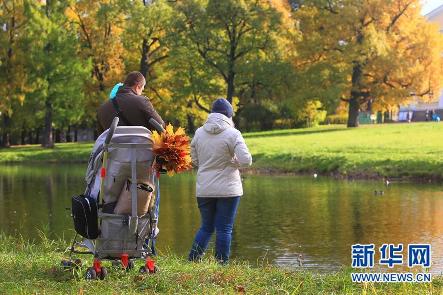 Очаровательные осенние пейзажи Санкт-Петербурга