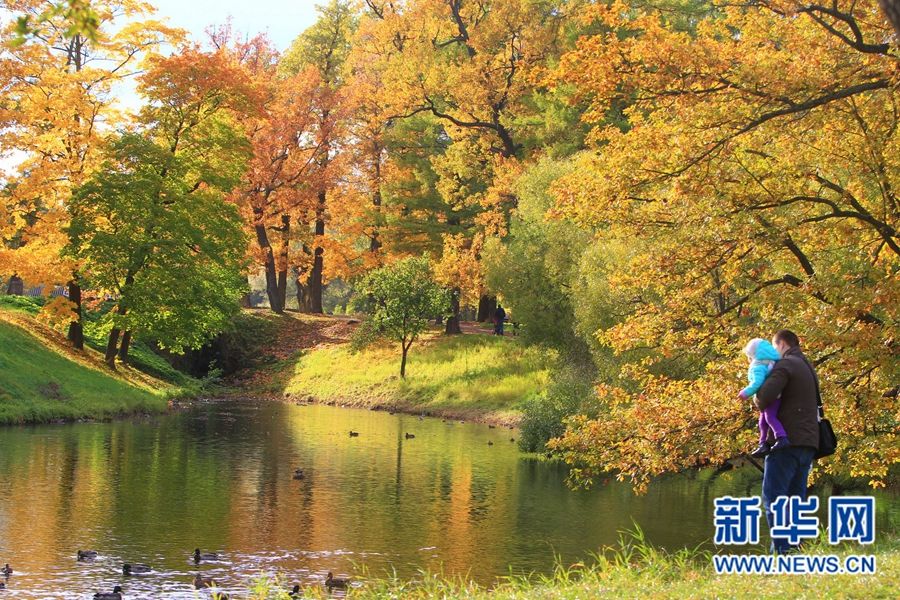 Очаровательные осенние пейзажи Санкт-Петербурга