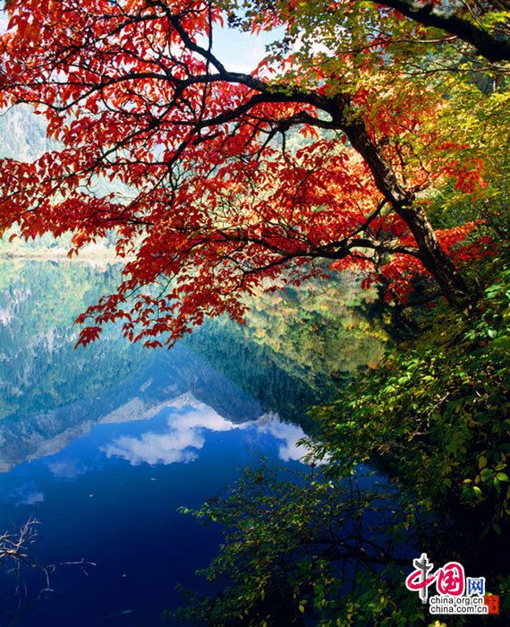 Осенняя турзона Цзюйчжайгоу в провинции Сычуань