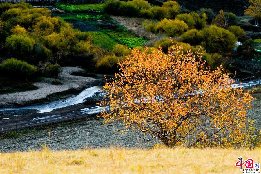 Чарующие осенние пейзажи степи Улан-Бутун