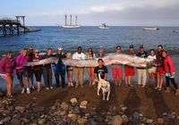 В Калифорнии поймали ремень-рыбу длиной 5,5 метра 