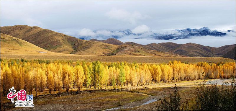 Очаровательные пейзажи Ядин в провинции Сычуань 