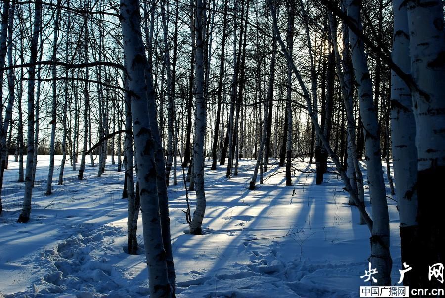 Фото: Чарующие пейзажи в степи Хулунбуир