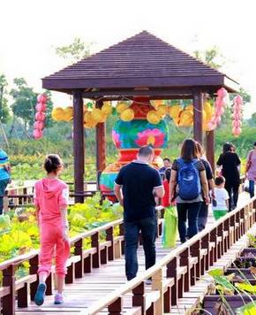 Красивые пейзажи туристического района Шанху в Чаншу