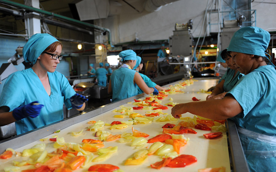 Фото: процесс производства консервов из овощей в России