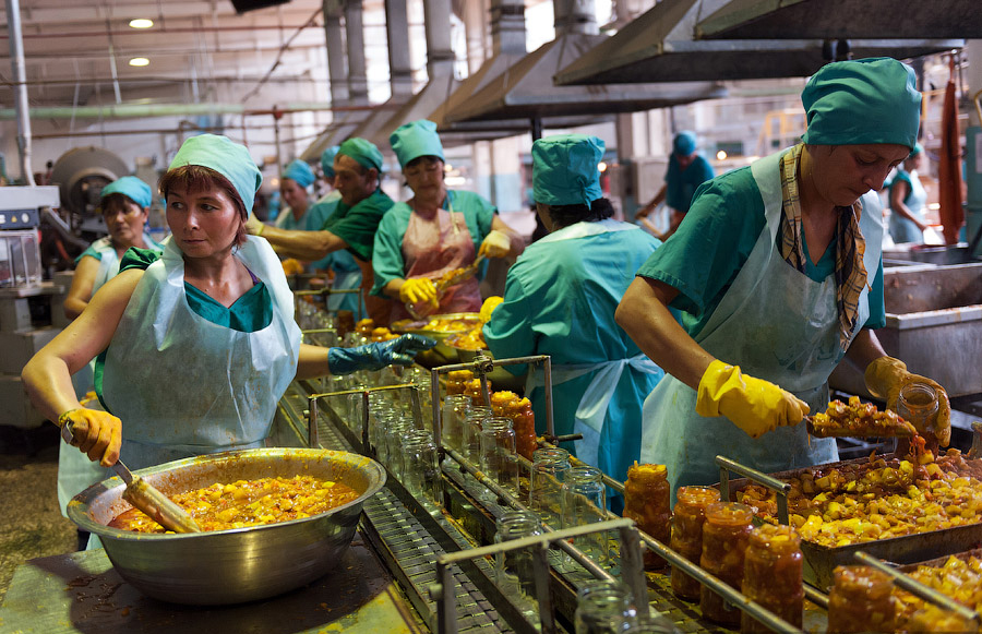 Фото: процесс производства консервов из овощей в России