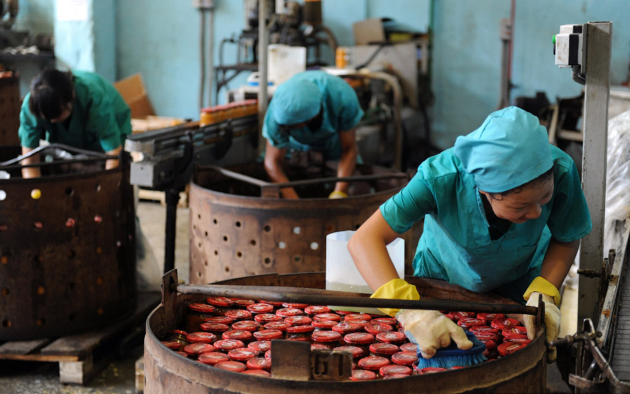 Фото: процесс производства консервов из овощей в России